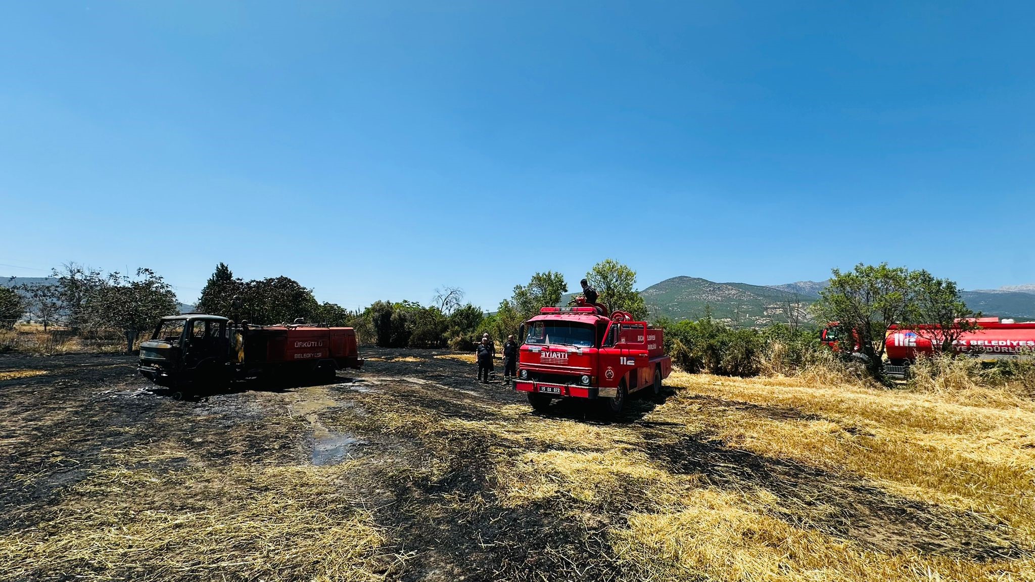 Denizli Haber Arazi Yangını