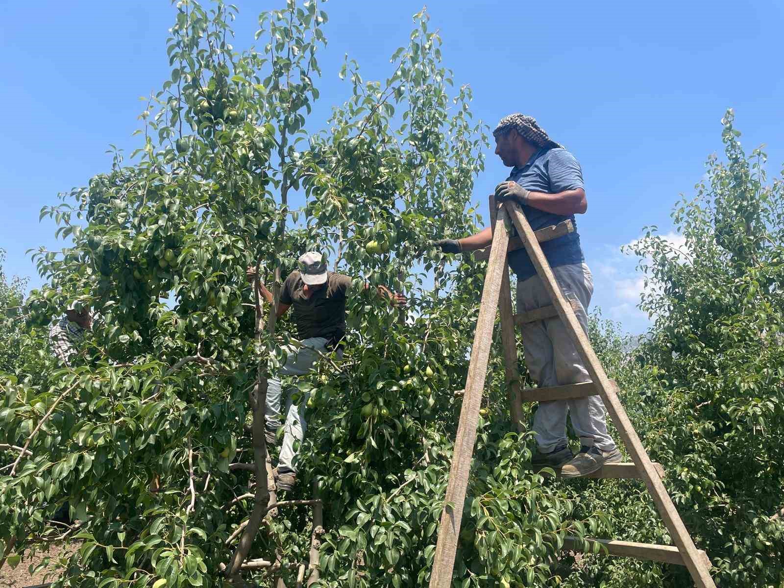 Denizli Haber Armut2