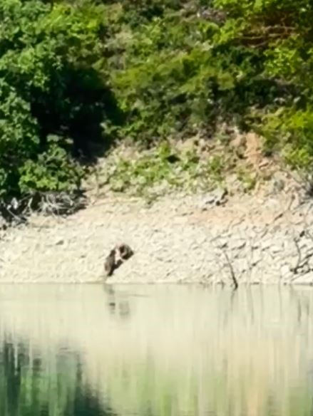 Denizli Haber Artvin (1)