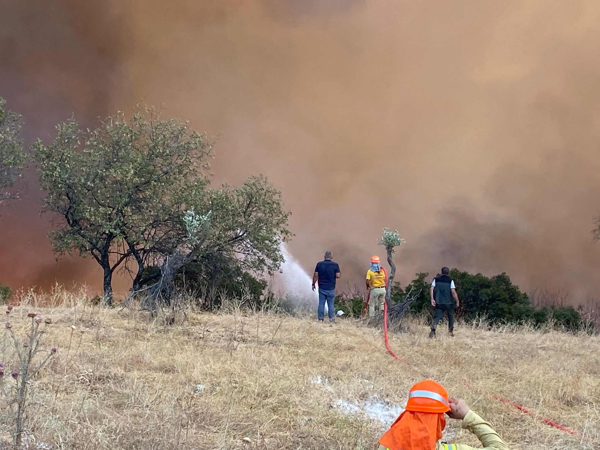 Denizli Haber Aydın Yangın (3)