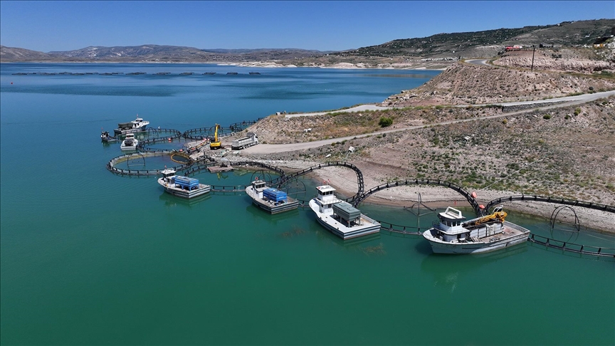 Denizli Haber Balık-1