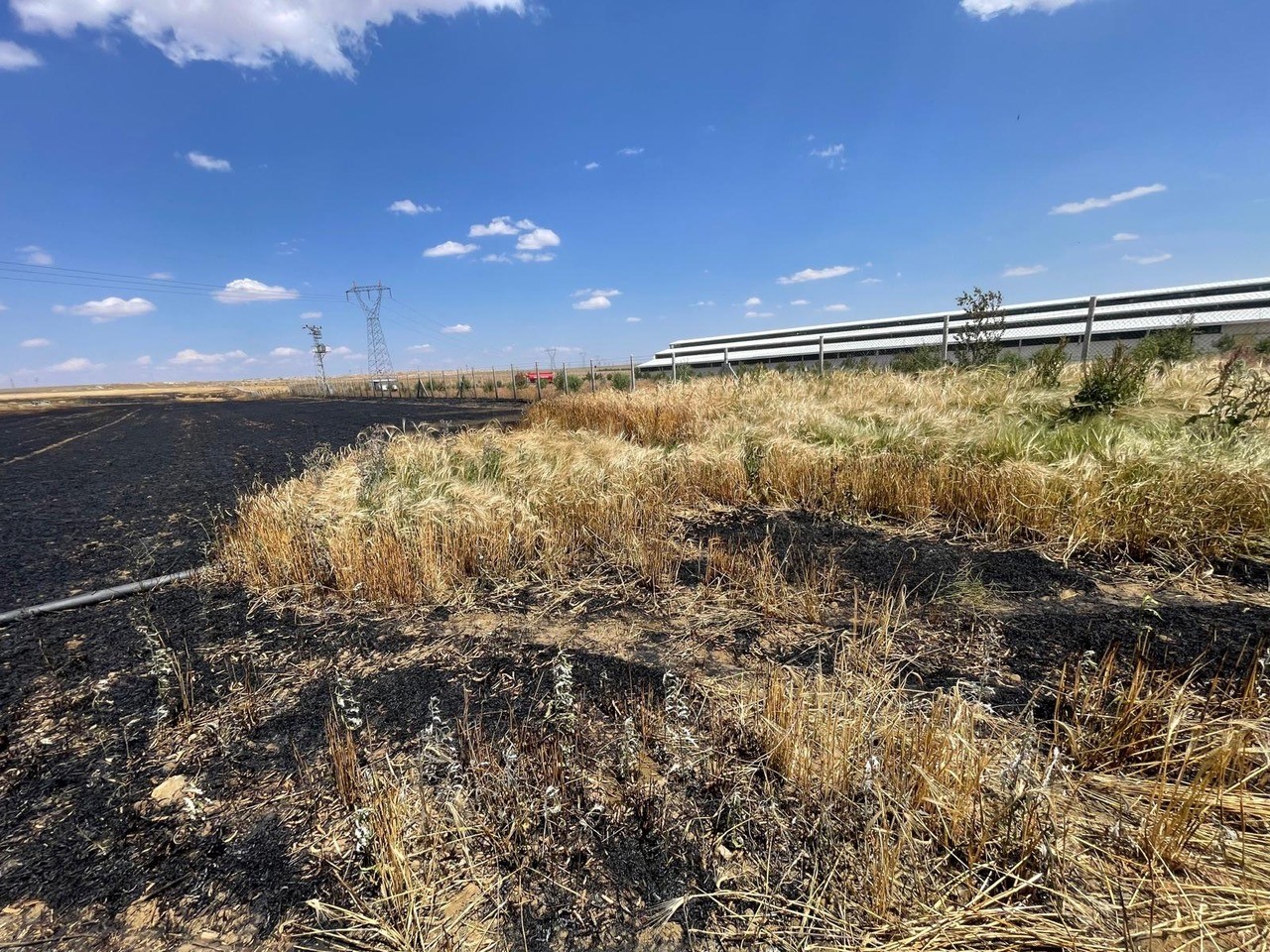 Denizli Haber Buğday Yangın (2)