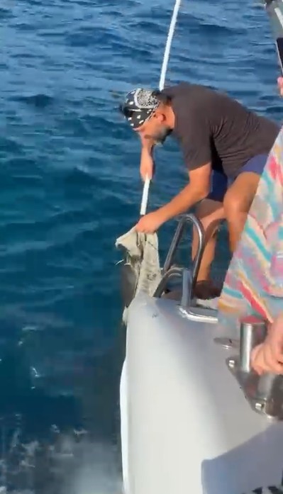 Denizli Haber Caretta2