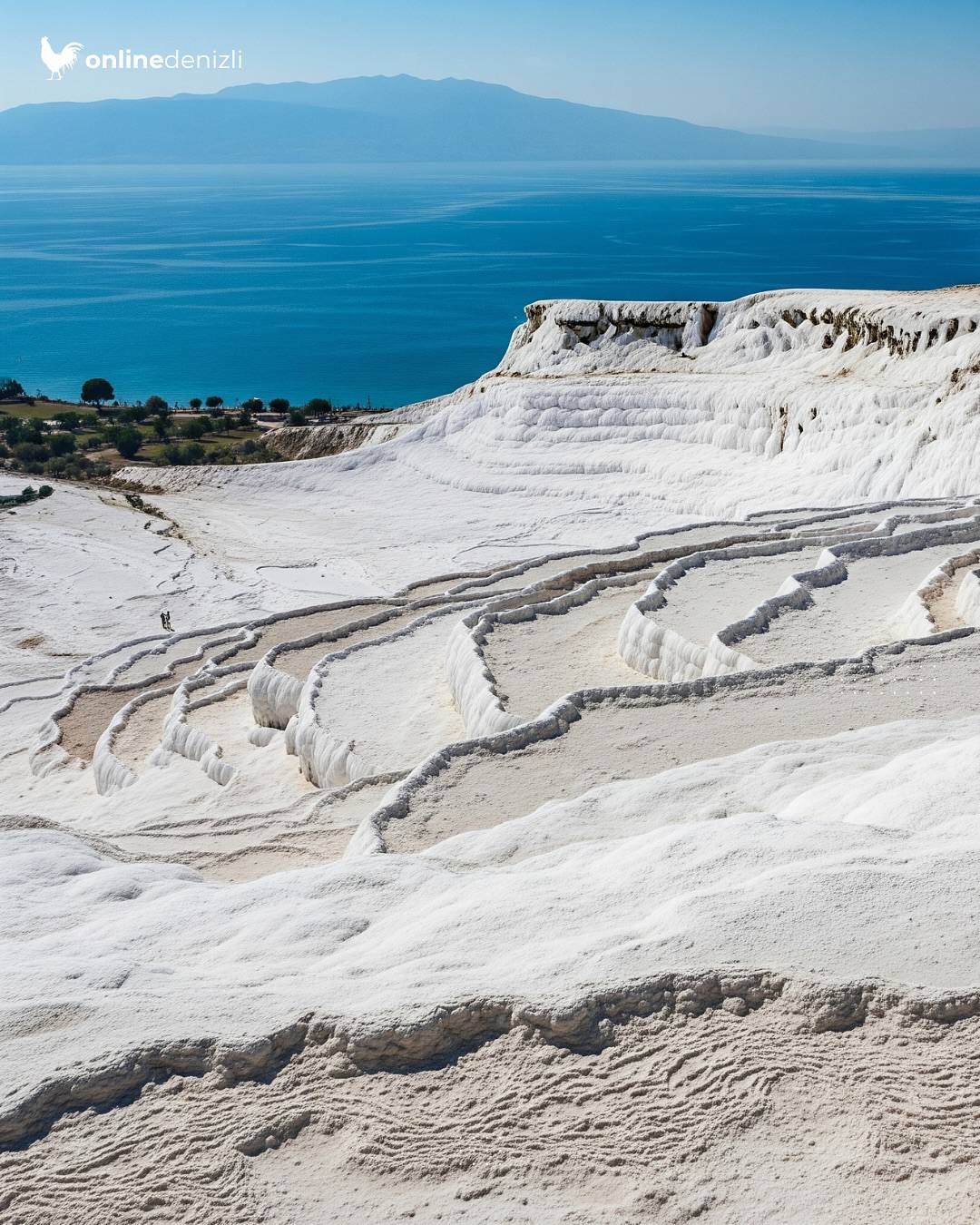 Denizli Haber Deniz Denizli (1)