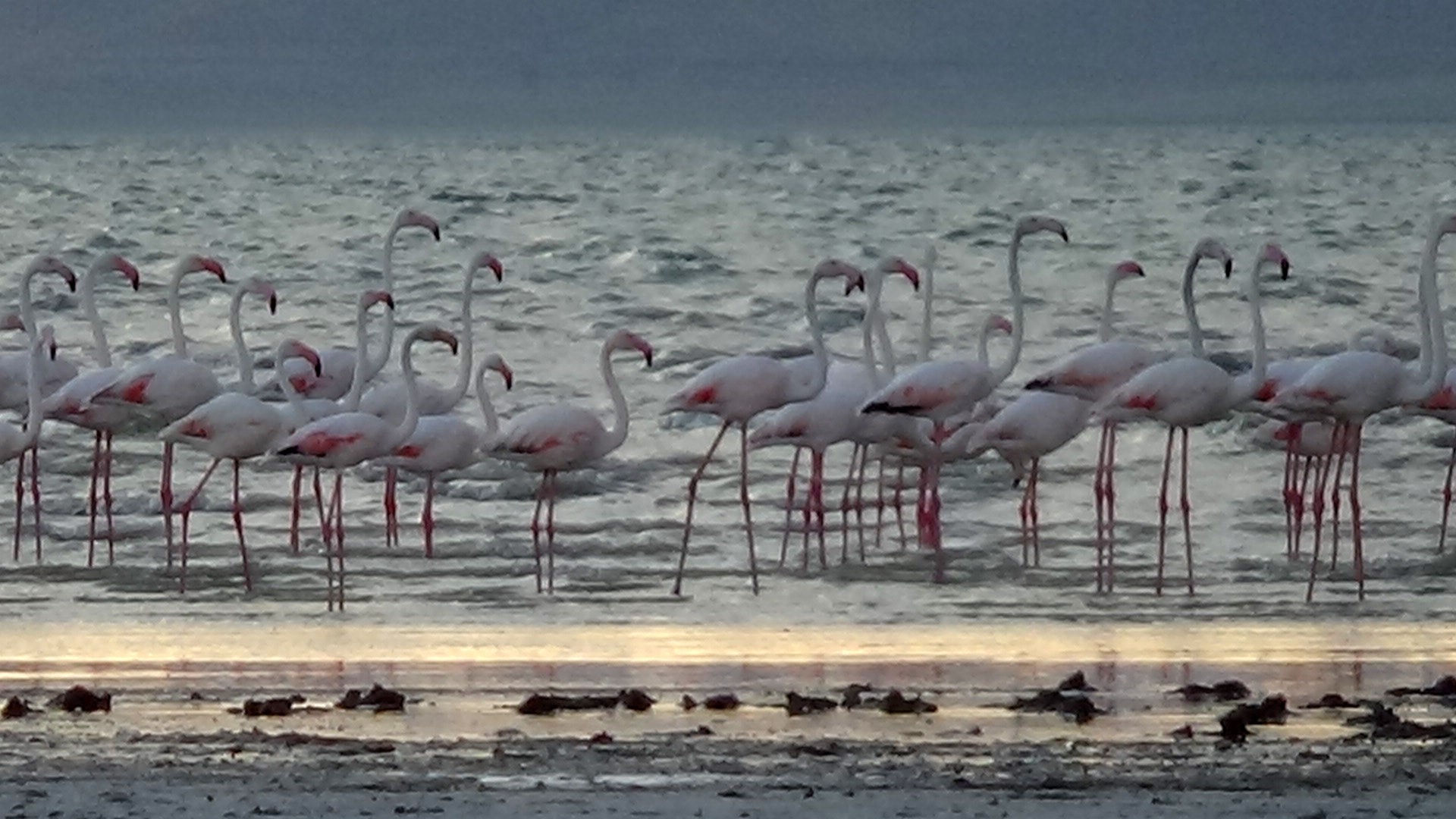 Denizli Haber Erçek Gölü (3)
