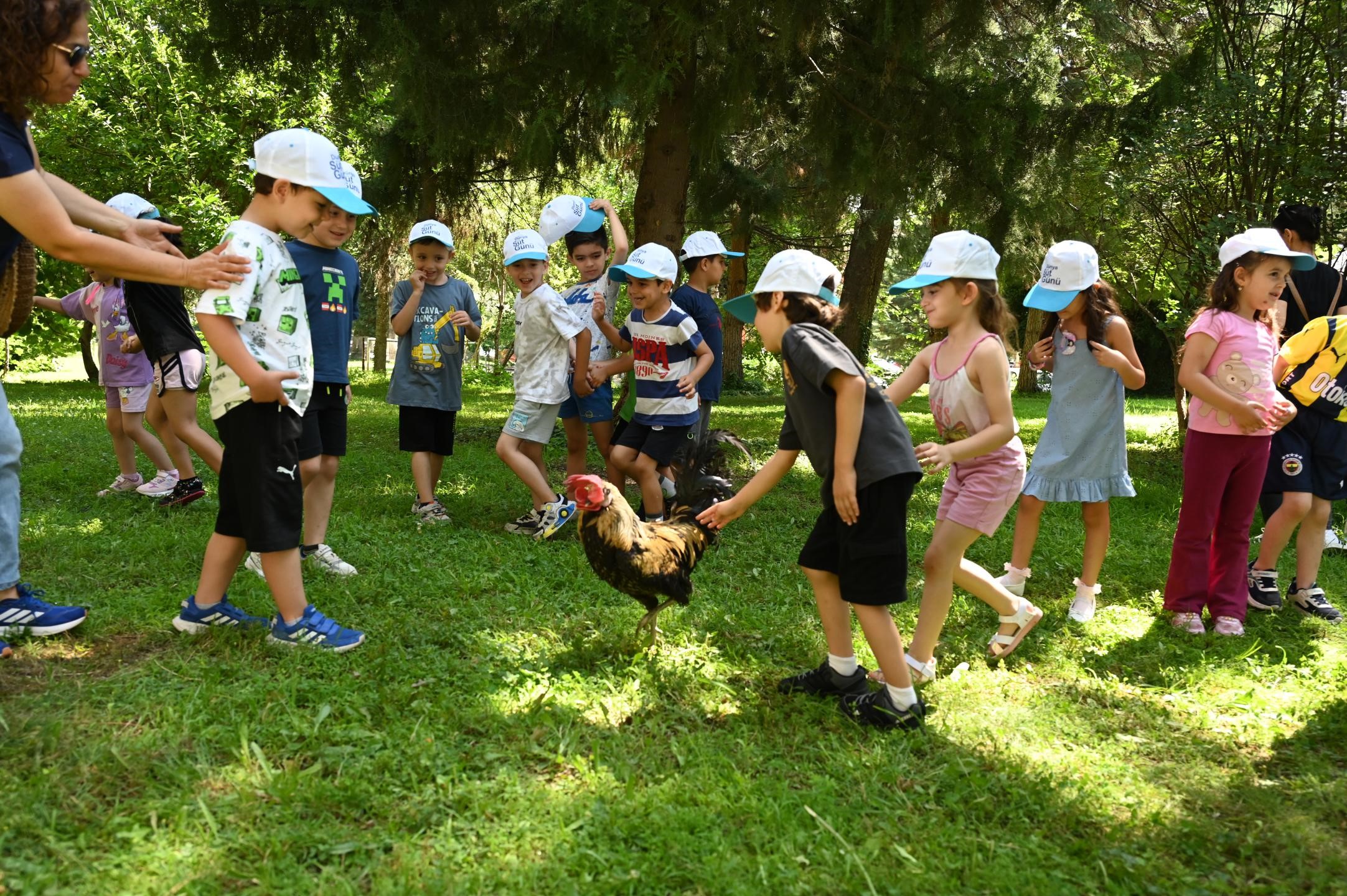 Denizli Haber Horoz (3)