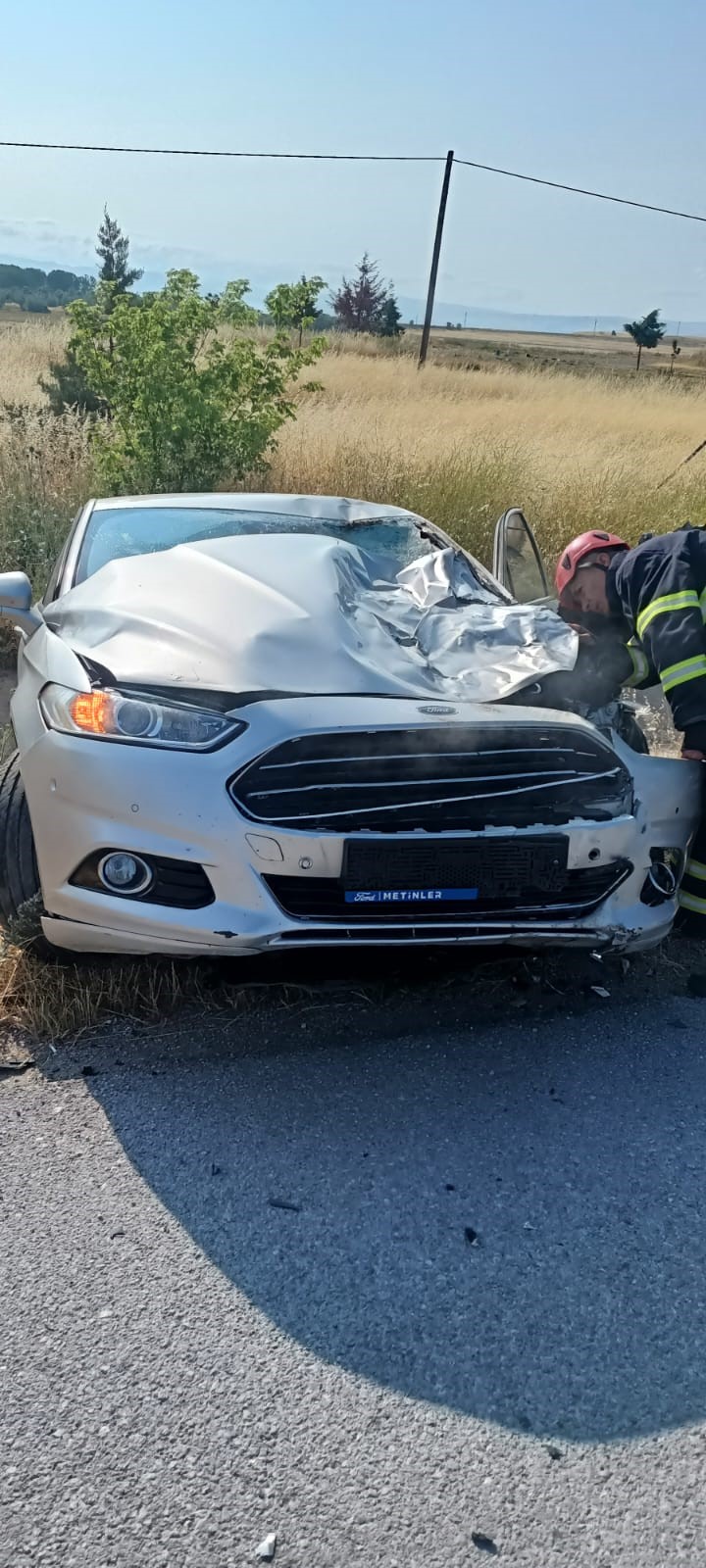 Denizli Haber Inek Telef Oldu (2)