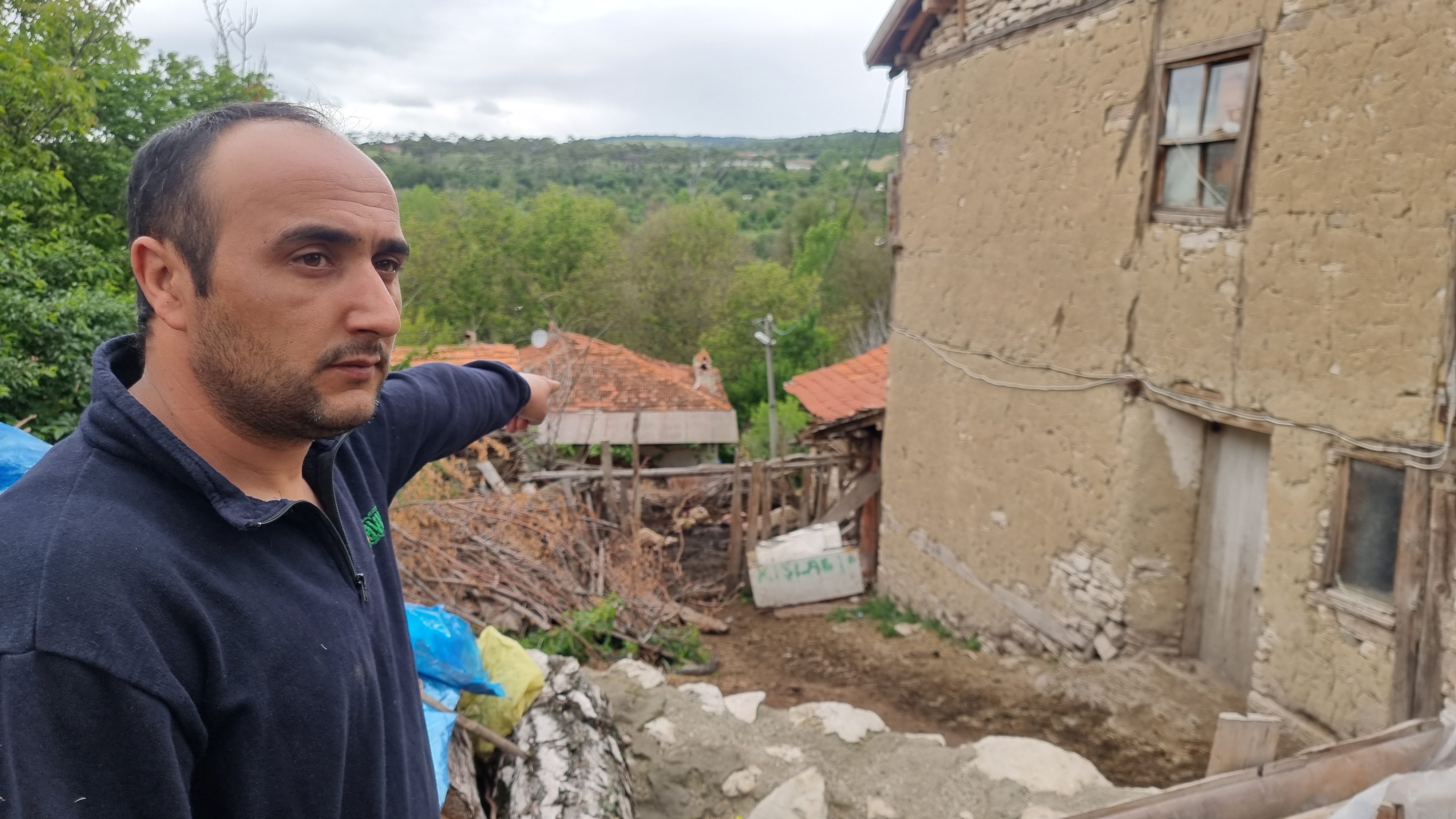 Denizli Haber Kurtların Saldırısında 11 Koyun Telef Oldu 2