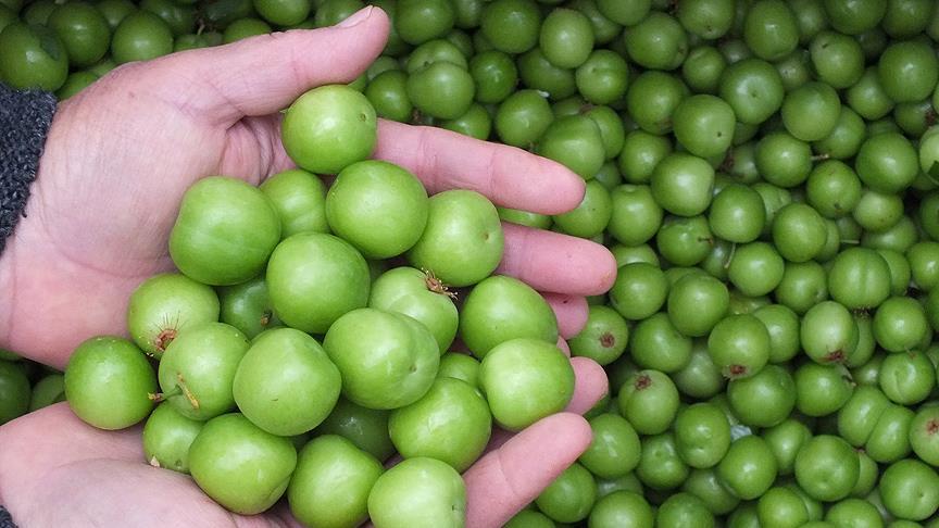 Denizli Haber Meyve Fiyatları (4)