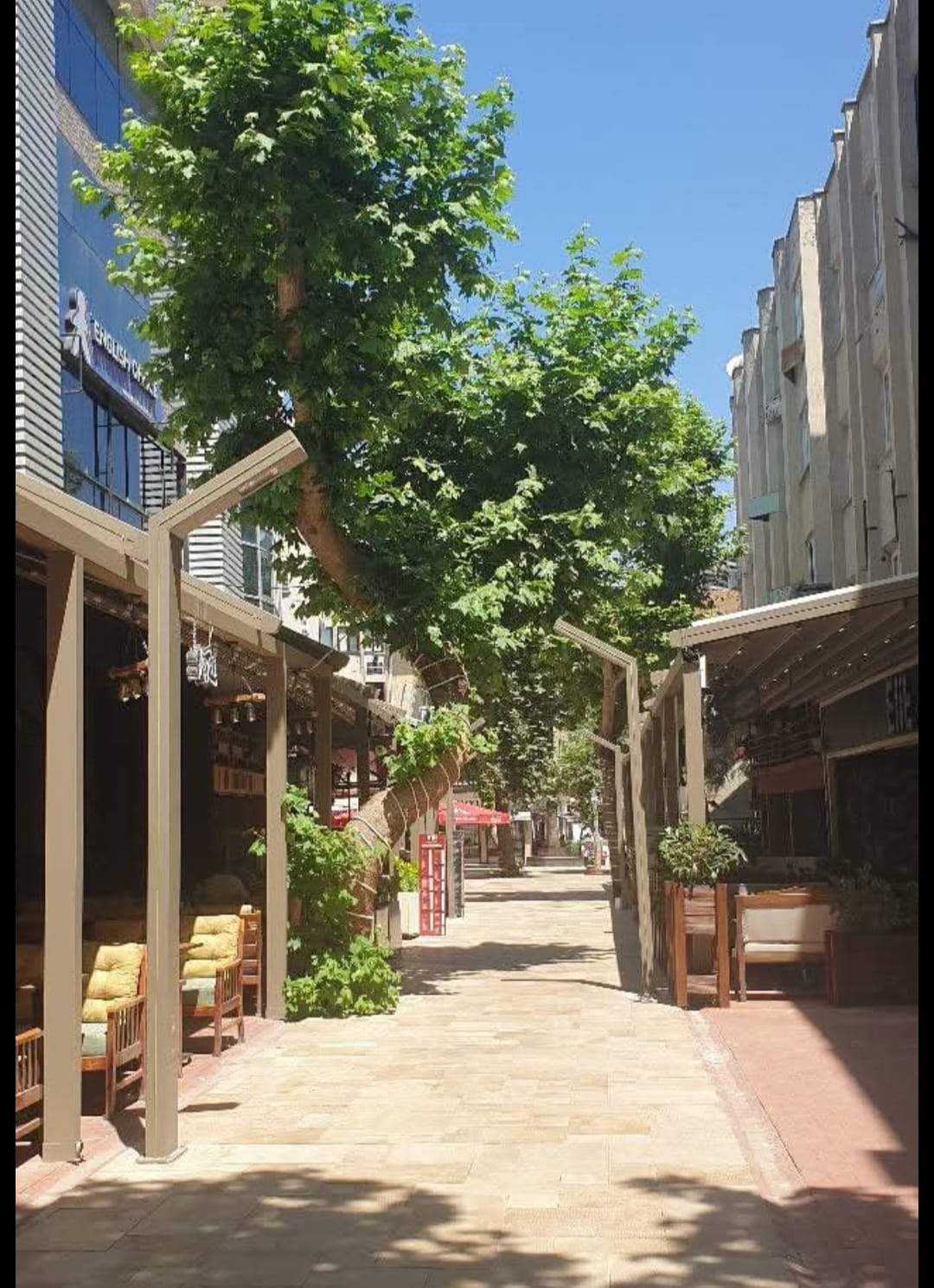 Denizli Haber Mustafa Kemal Kaya 27 Haziran2025 (16)