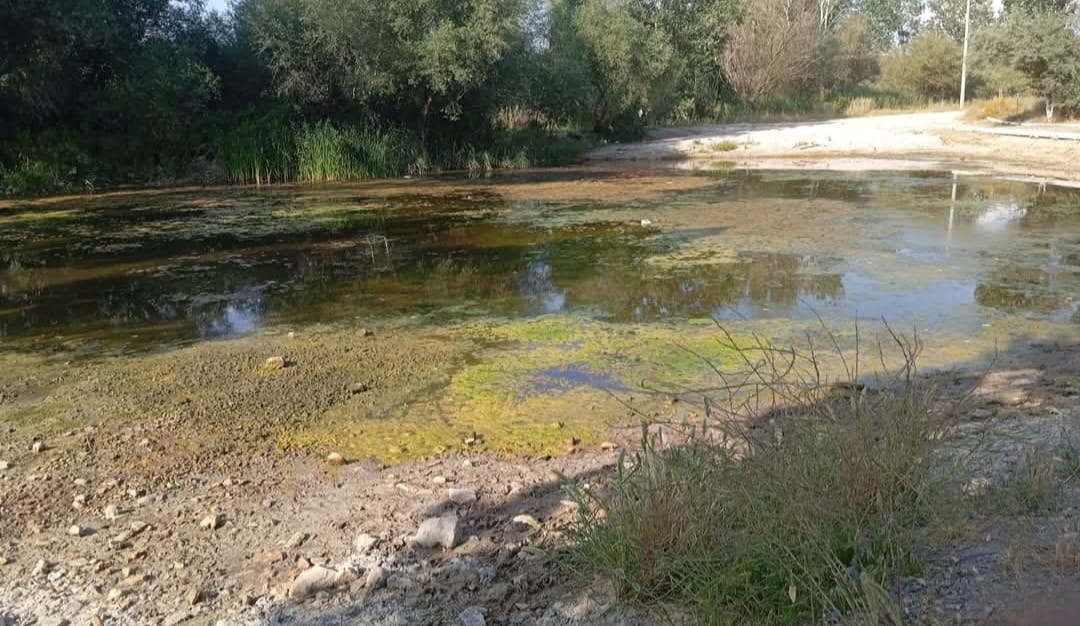 Denizli Haber Mustafa Kemal Kaya 27 Haziran2025 (21)