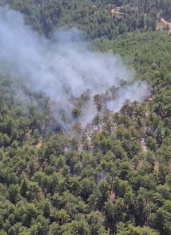 Denizli Haber Orman Yangını (2)-2