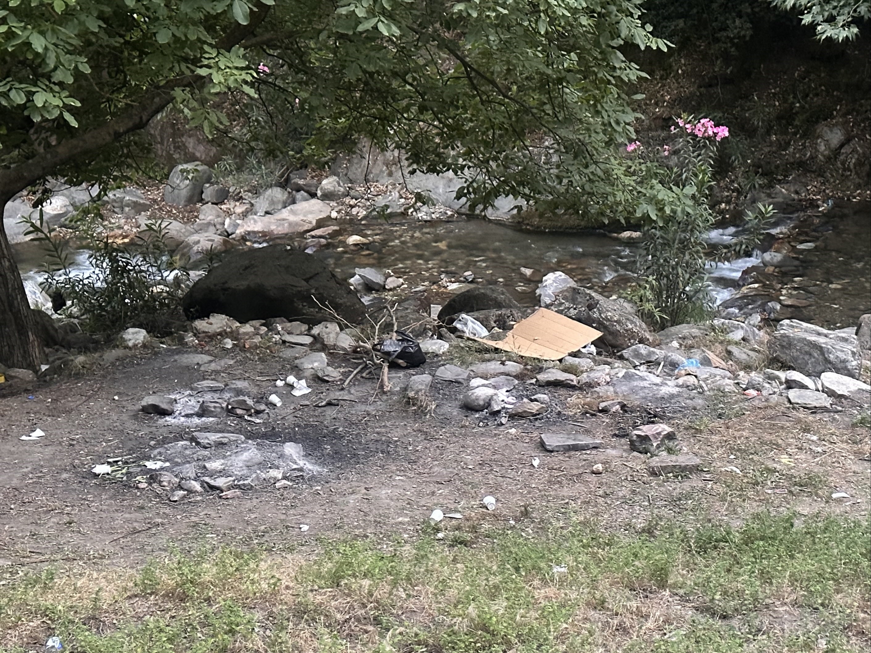 Denizli Haber Orman Yasak-1