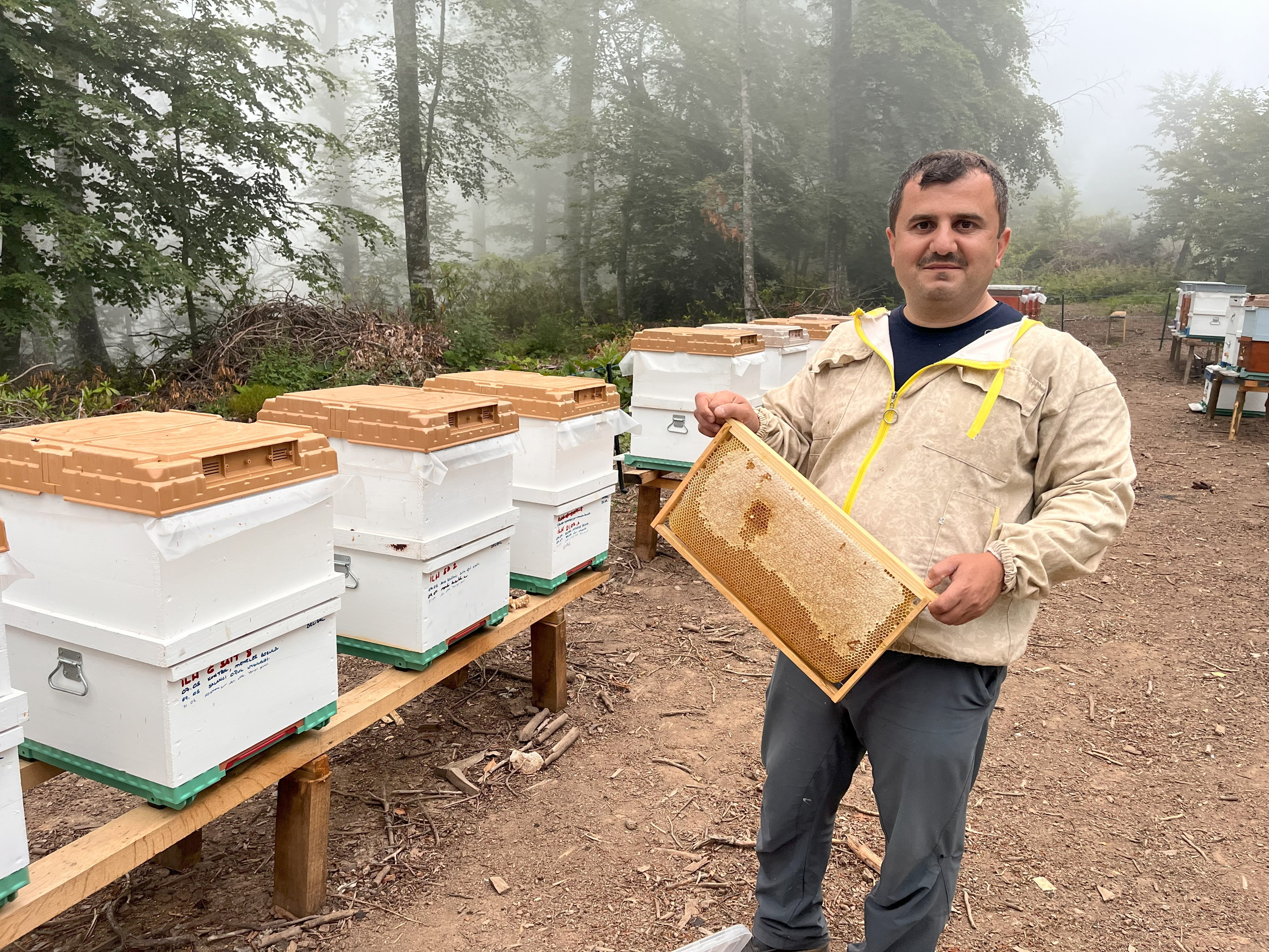 Denizli Haber Ormangülü Balı (2)