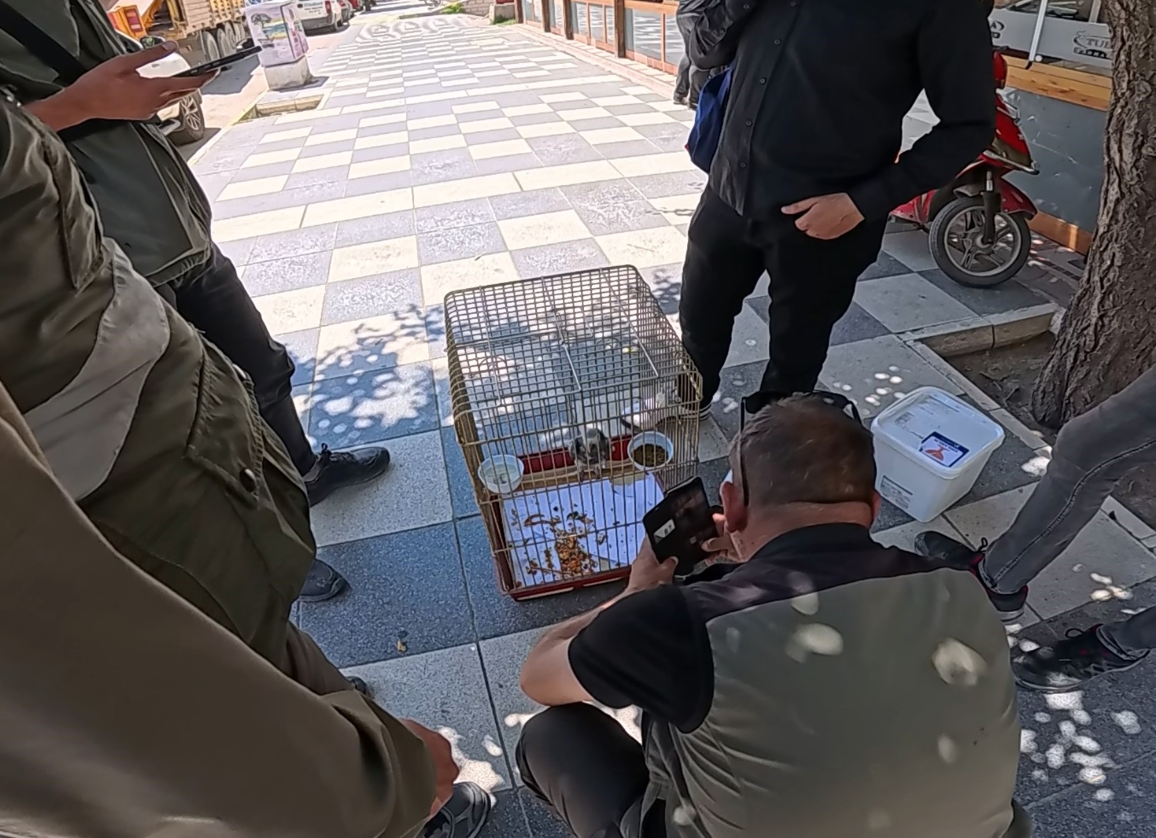 Denizli Haber Papagan (3)