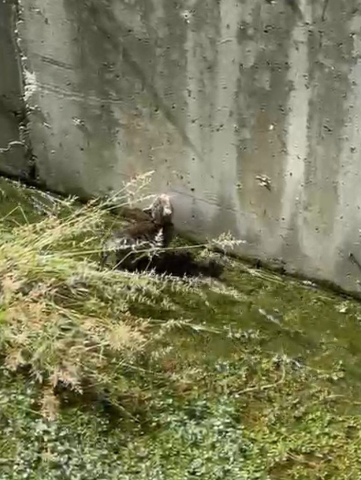 Denizli Haber Polis (2)-1