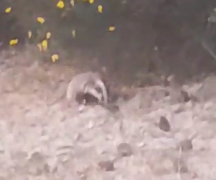 Denizli Haber Porsuk (4)