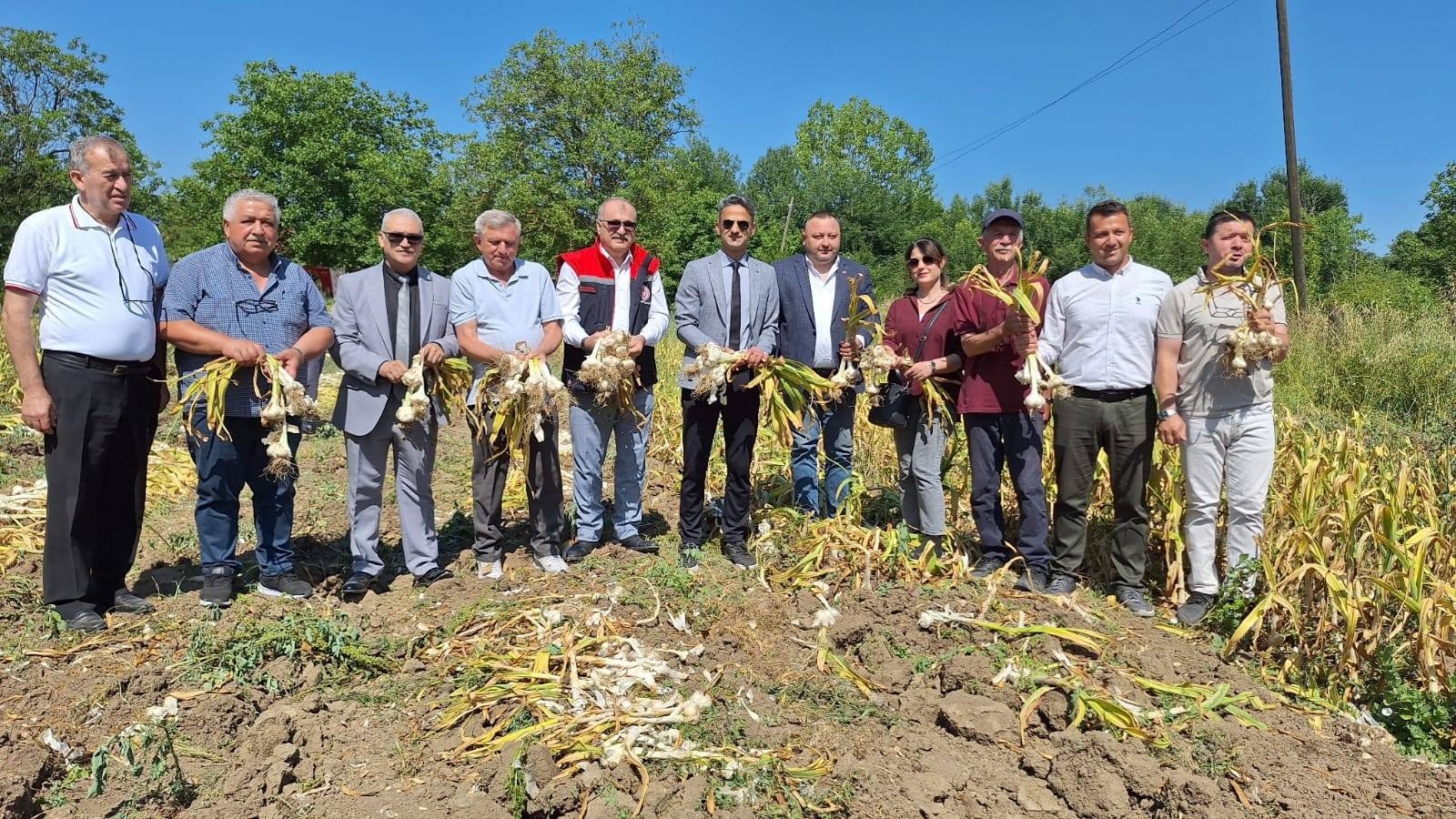 Denizli Haber Sarımsak (2)