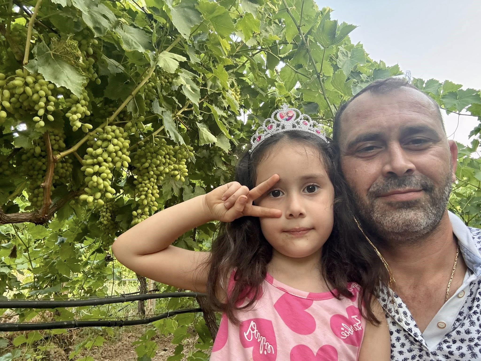 Denizli Haber Sultaniye Üzümü Çiftçinin Baş Tacı 2