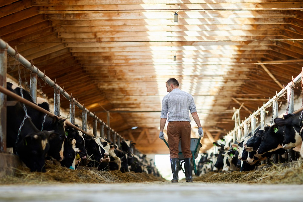 Denizli Haber Tarım (3)-1