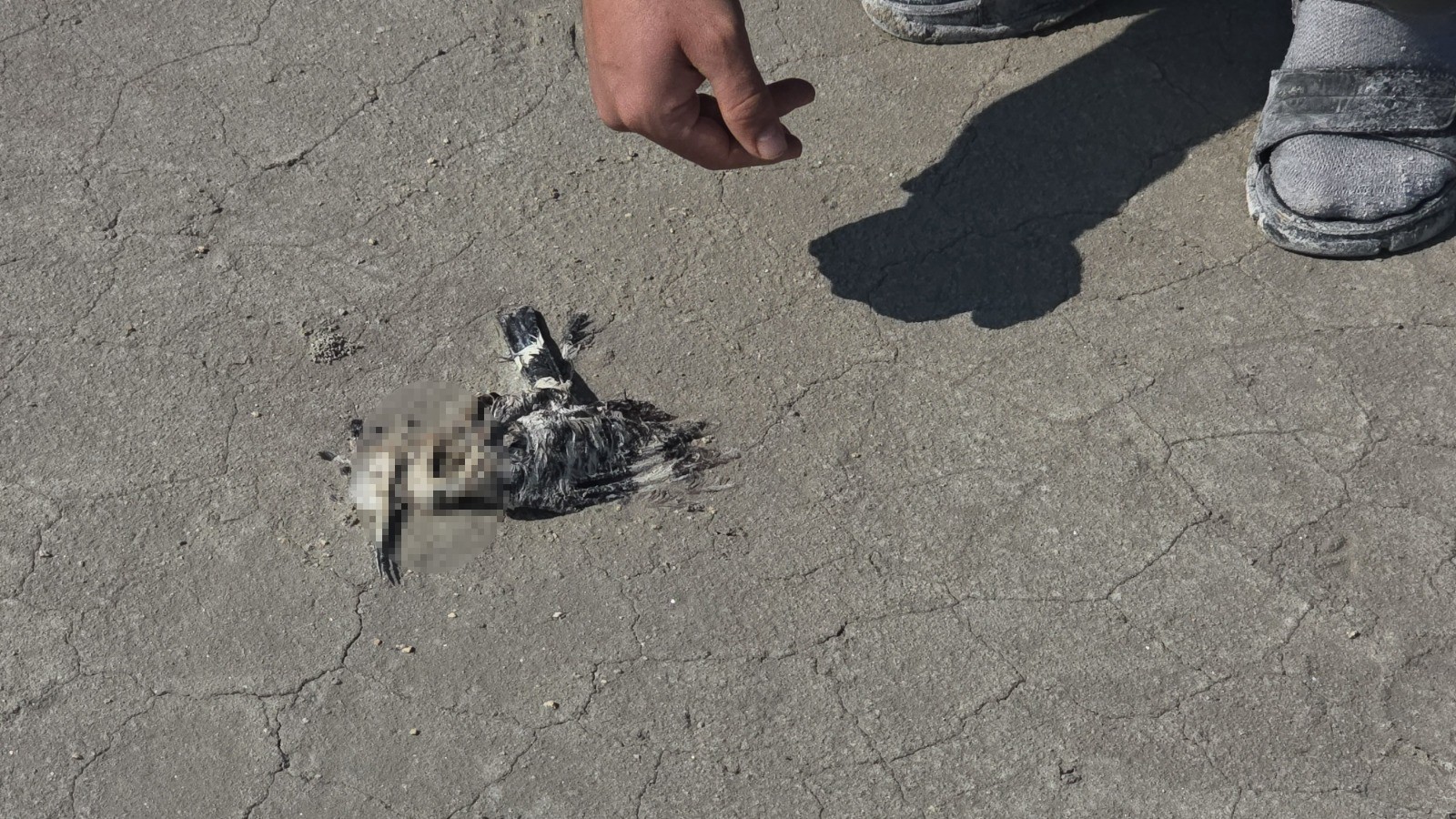 Denizli Haber Tz Gölü (1)