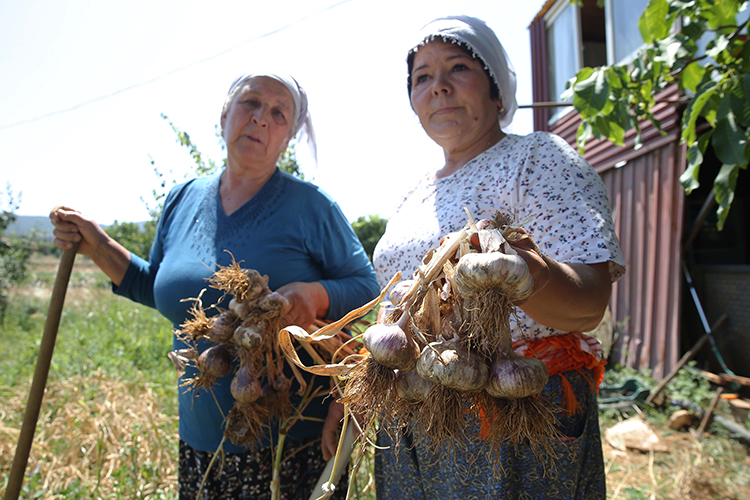 Deni̇zli̇ Haber Ula2