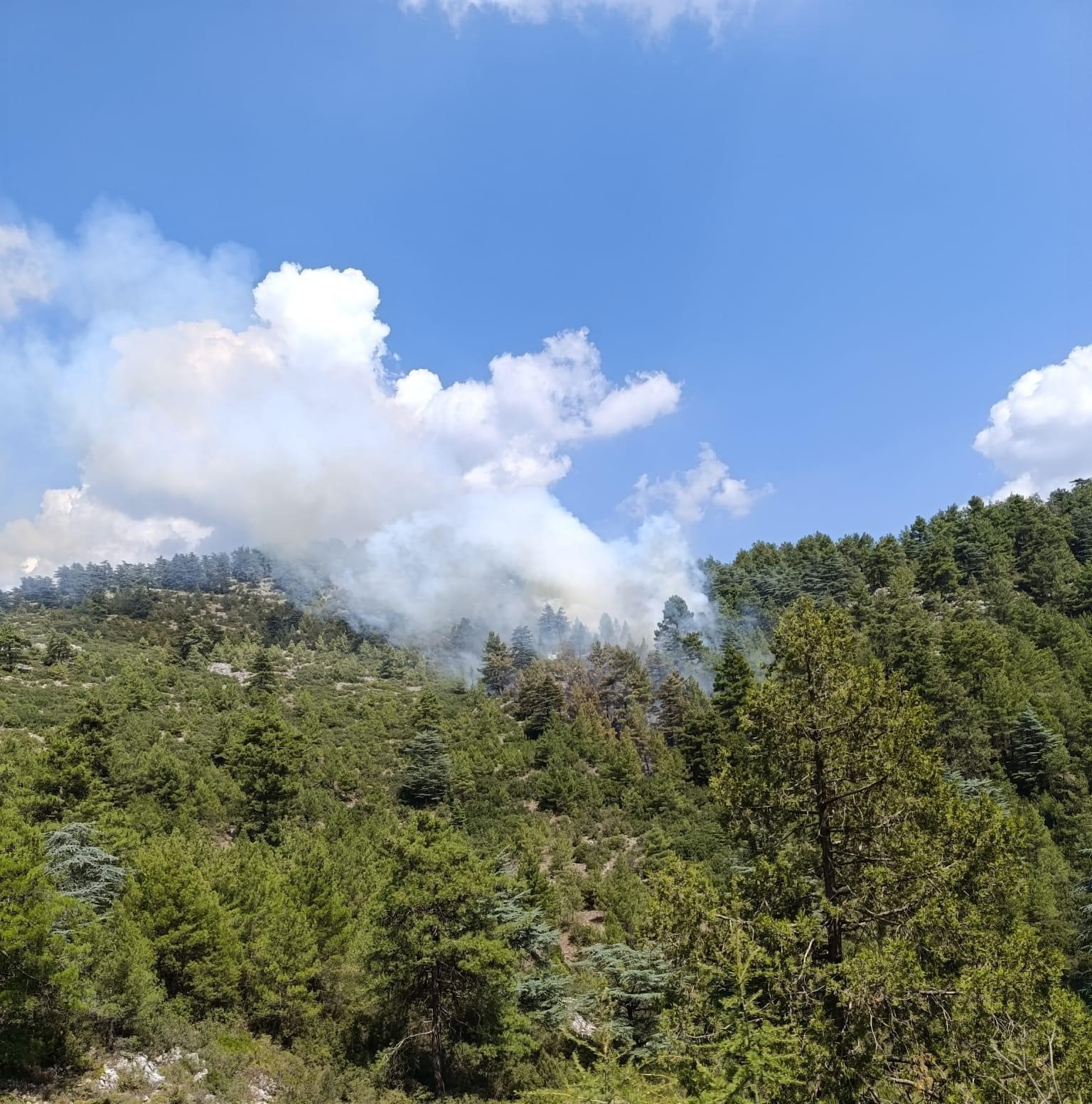 Denizli Haber Yangın (2)-14