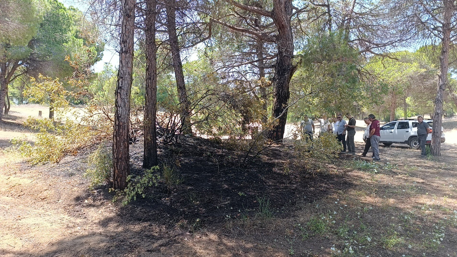 Denizli Haber Yangın (2)-15