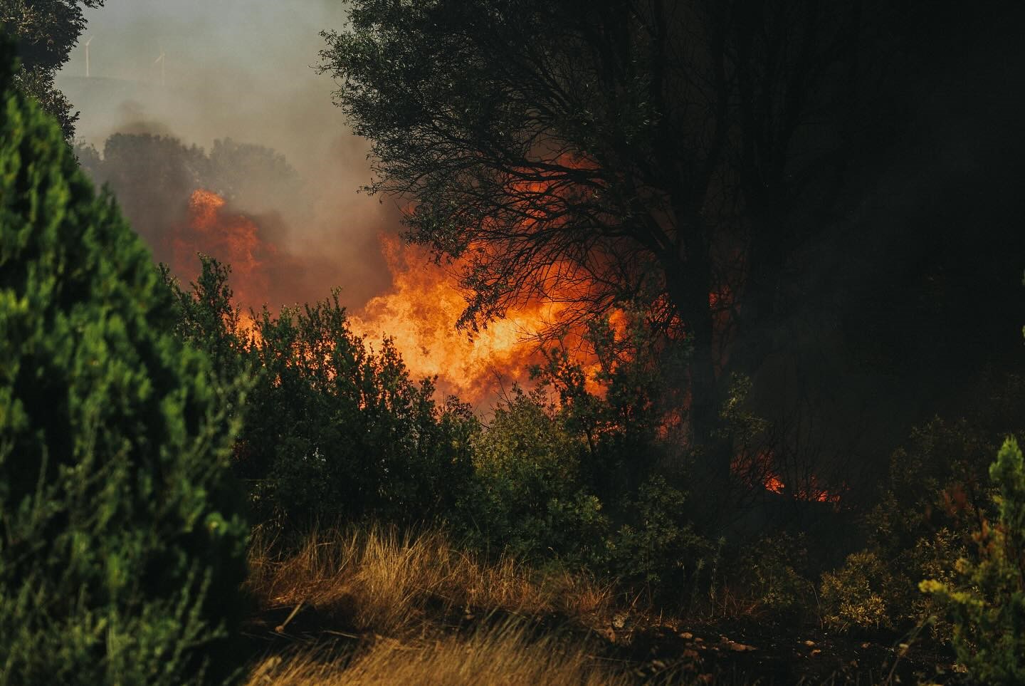 Denizli Haber Yangın-20