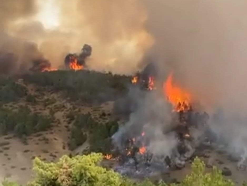 Denizli Haber Yangın Honaz (1)