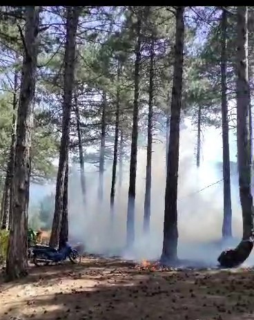 Denizli Haber Yangın Honaz (2)