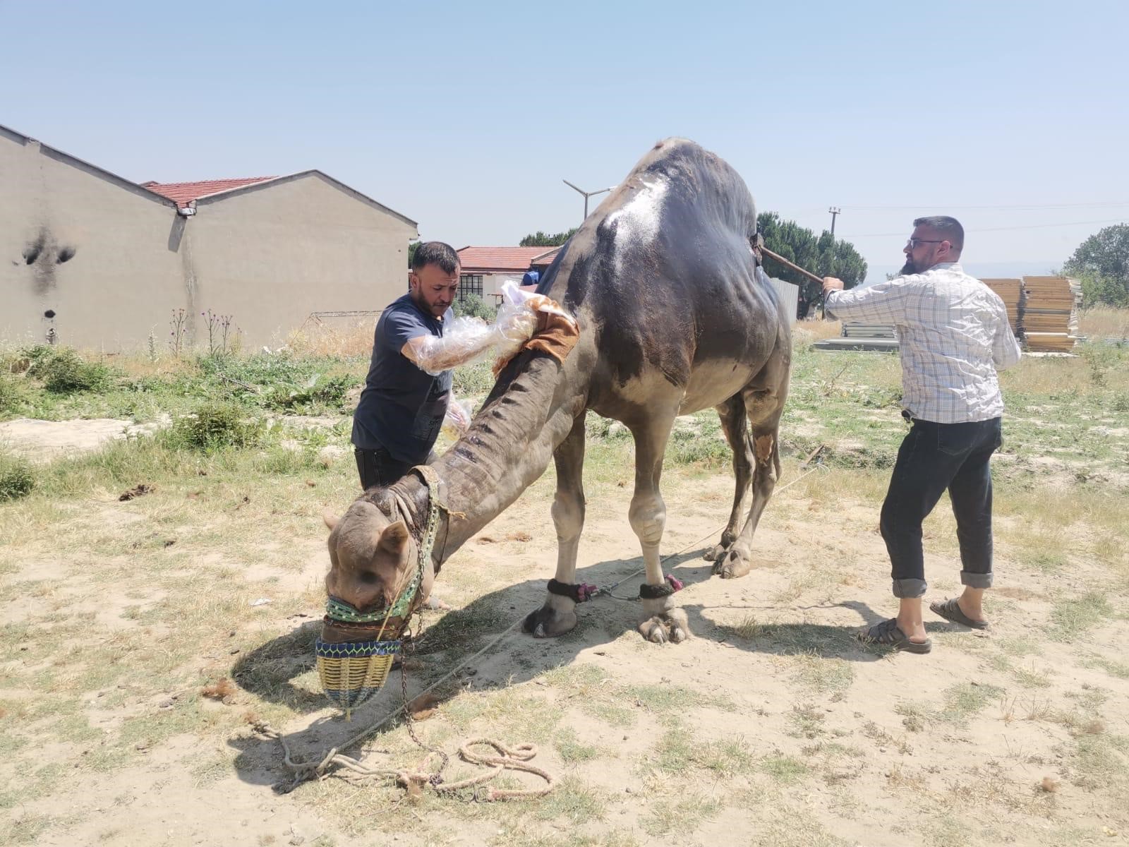 Denizli Haber Yaz Bakımım (2)