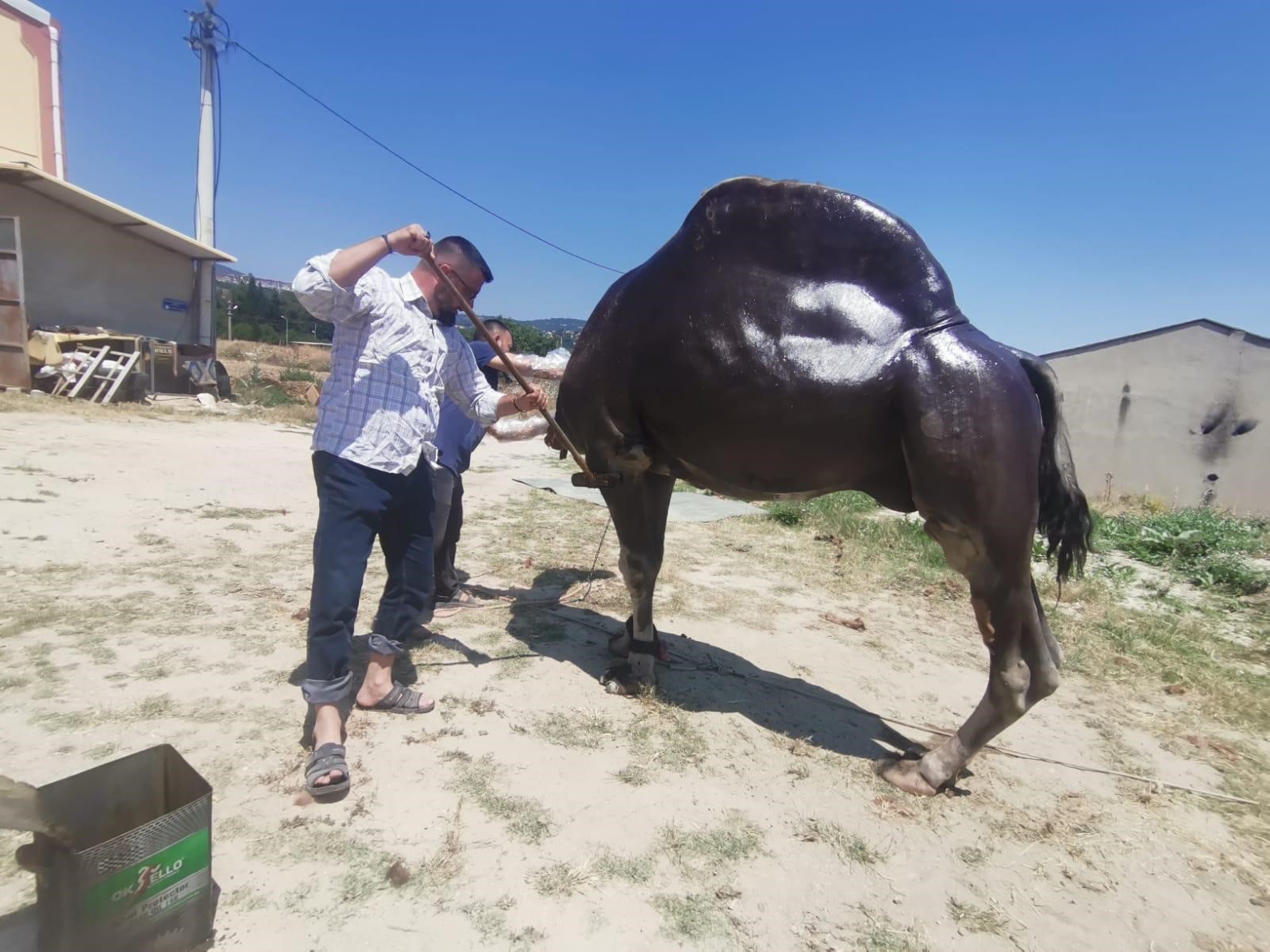 Denizli Haber Yaz Bakımım (4)
