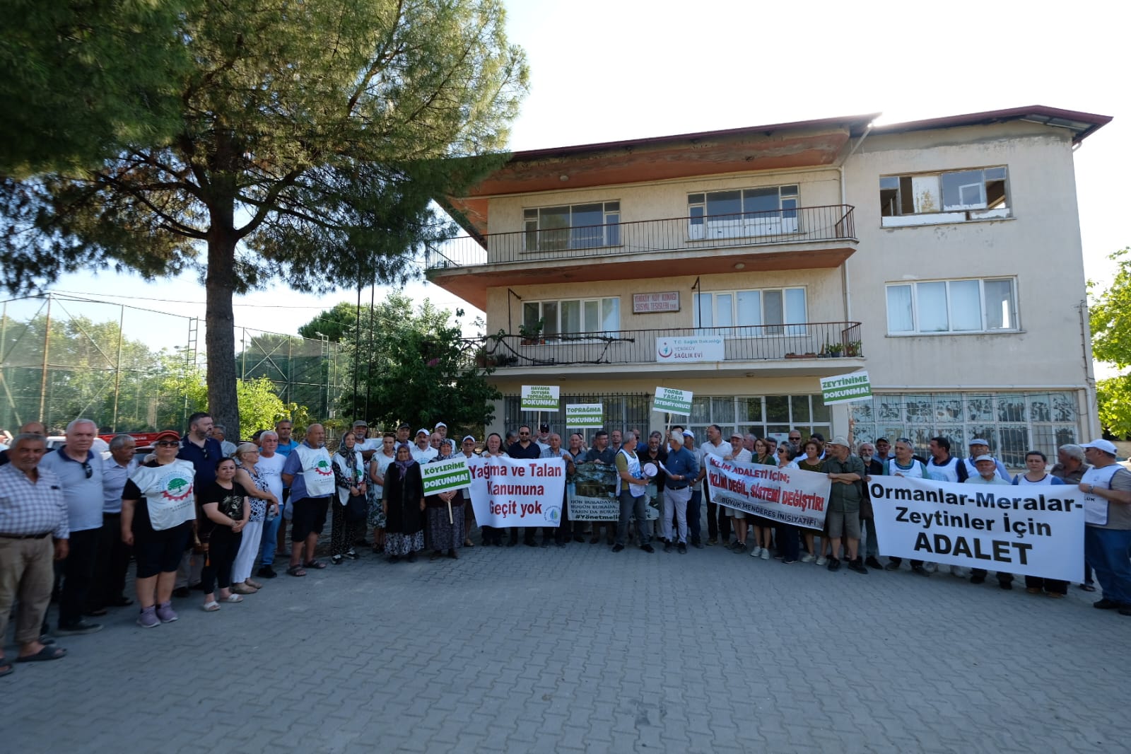 Denizli Haber Zeytin (1)