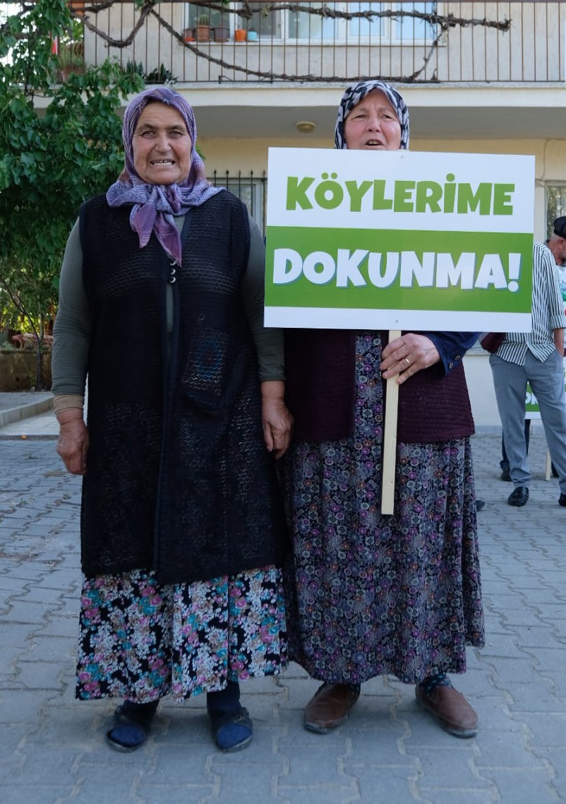 Denizli Haber Zeytin (4)