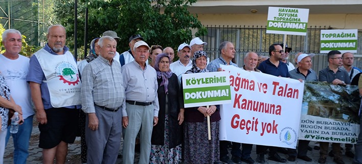 Denizli Haber Zeytin (5)