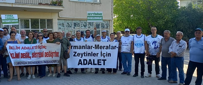 Denizli Haber Zeytin (6)