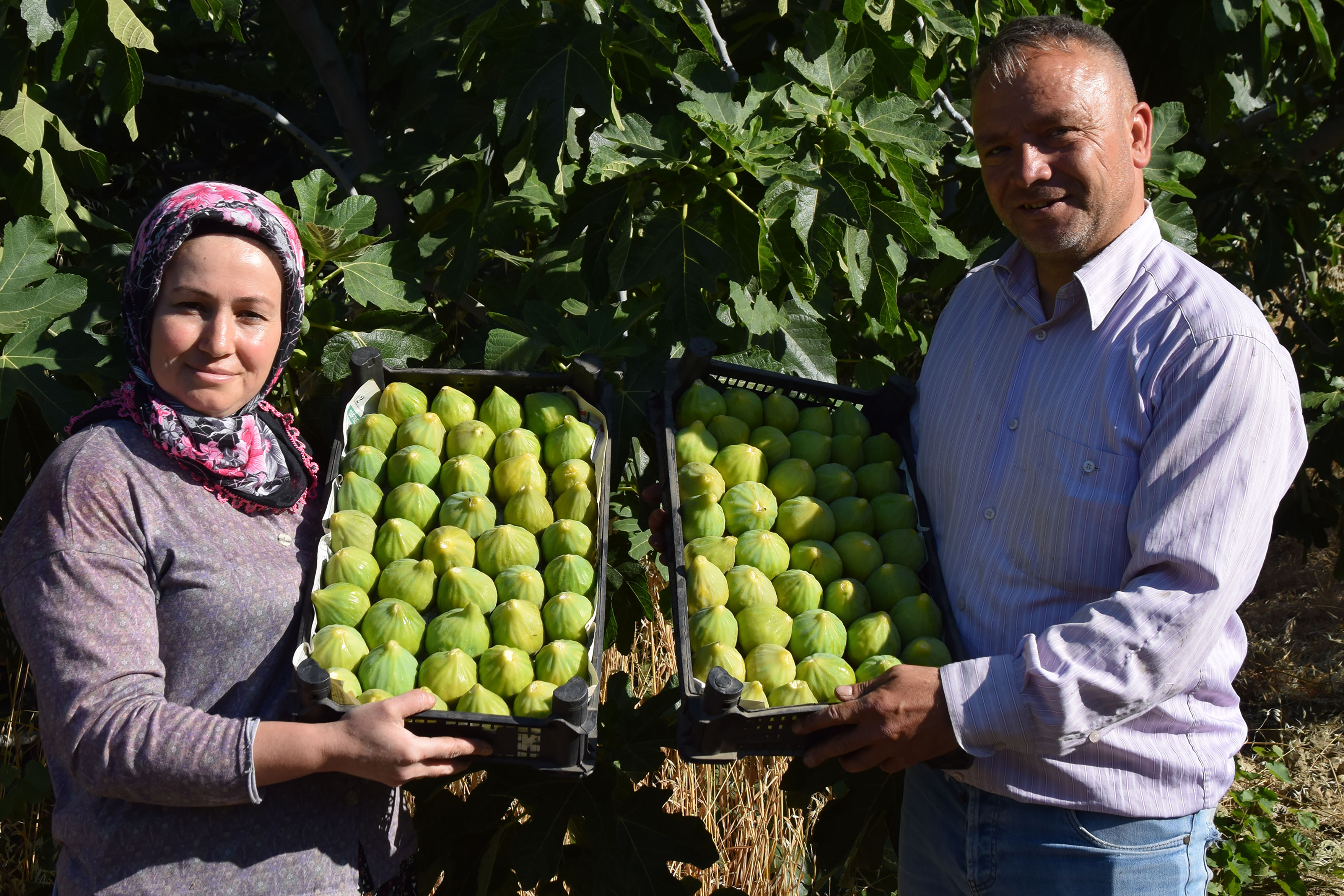 A A 20250707 38494496 38494493 M A N I S A D A Y E D I V E R E N I N C I R I N I N H A S A D I B A S L A D I