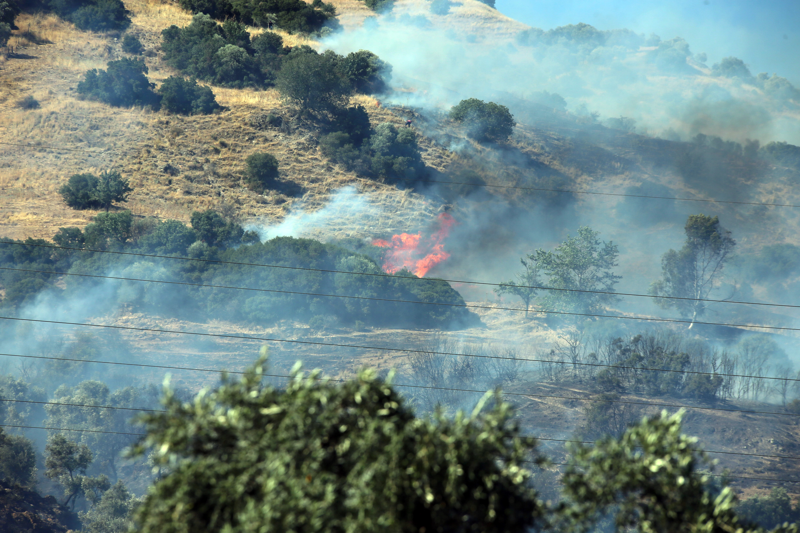 A A 20250707 38497824 38497822 A Y D I N D A Z E Y T I N L I K A L A N D A C I K A N Y A N G I N K O N T R O L A L T I N A A L I N D I