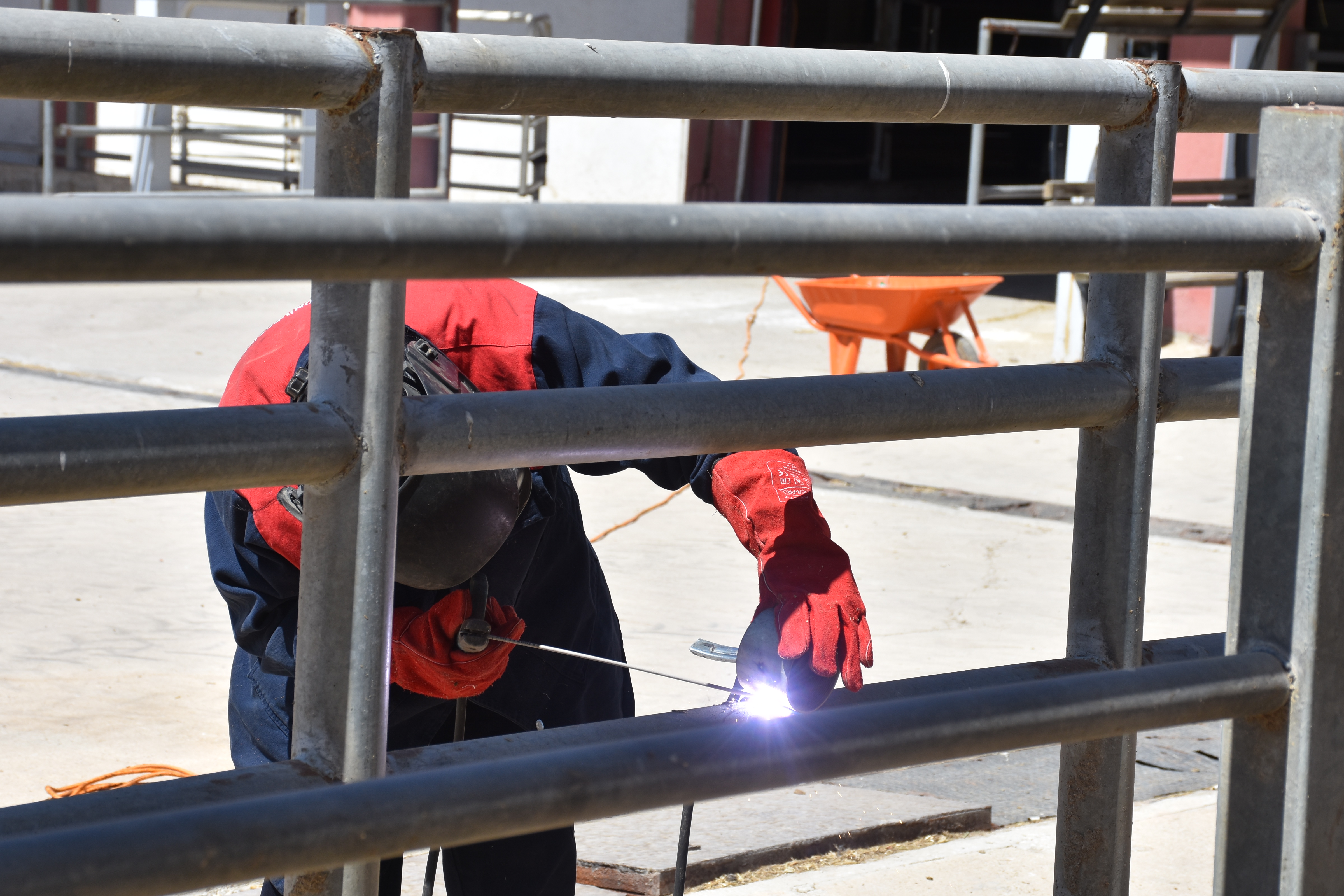 A A 20250708 38502003 38501999 U N I V E R S I T E N I N K A D I N K A Y N A K C I U S T A S I A Z M I Y L E O R N E K O L U Y O R-1