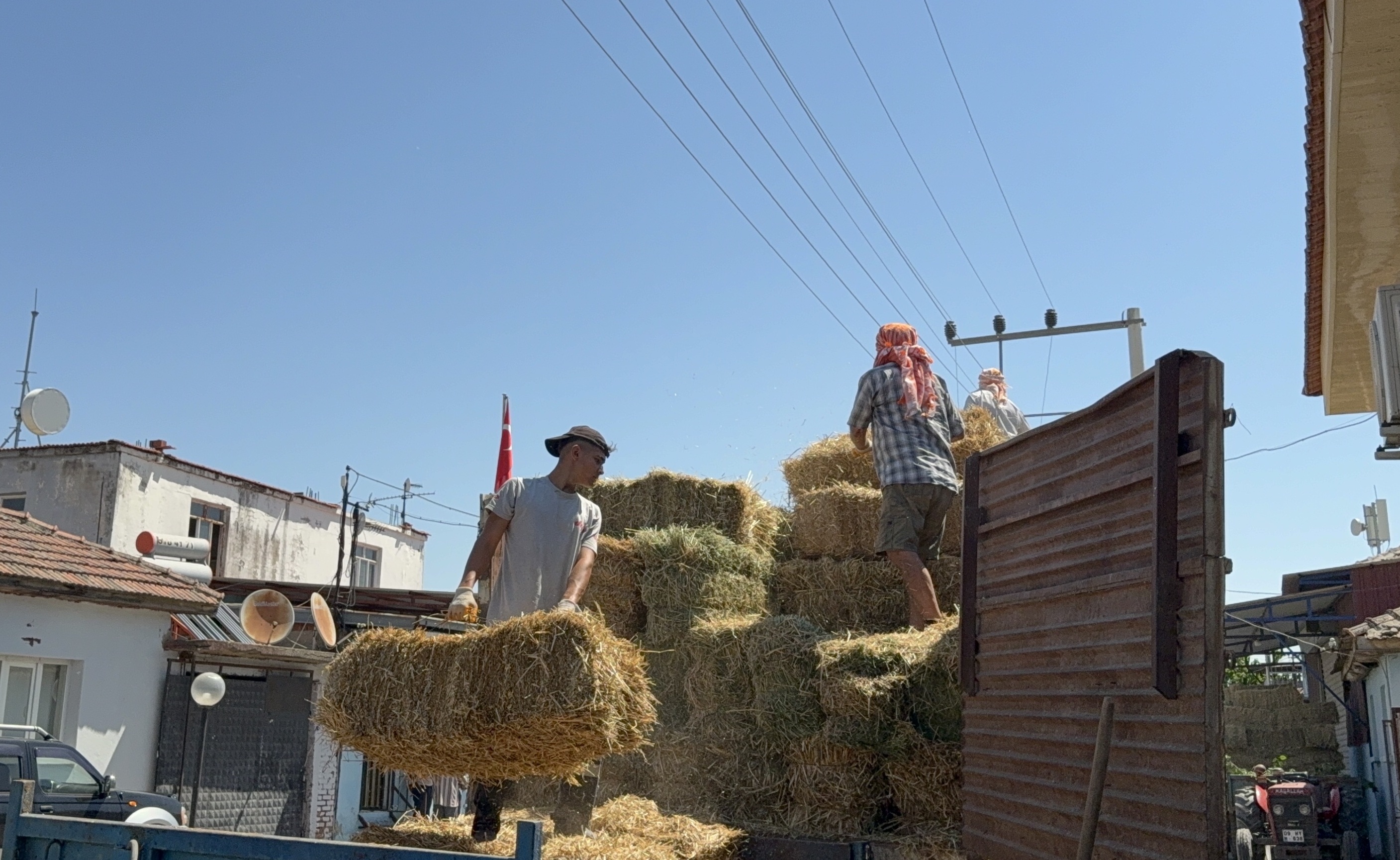 A A 20250709 38513449 38513447 G E R M E N C I K L I B E S I C I L E R D E N I Z M I R D E K I Y A N G I N L A R D A N E T K I L E N E N M E S L E K T A S L A R I N A Y E M D E S T E G I