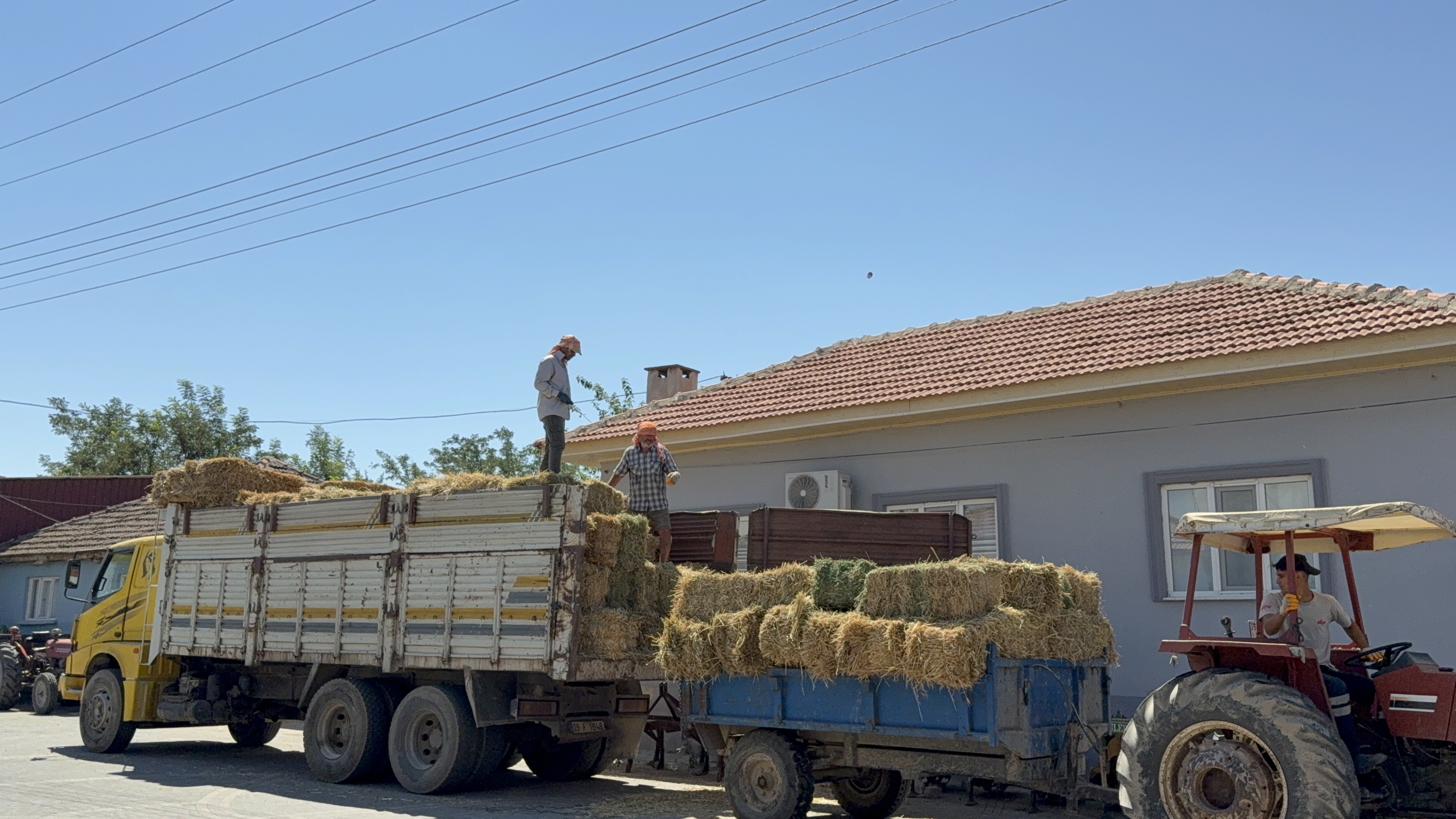 A A 20250709 38513449 38513448 G E R M E N C I K L I B E S I C I L E R D E N I Z M I R D E K I Y A N G I N L A R D A N E T K I L E N E N M E S L E K T A S L A R I N A Y E M D E S T E G I