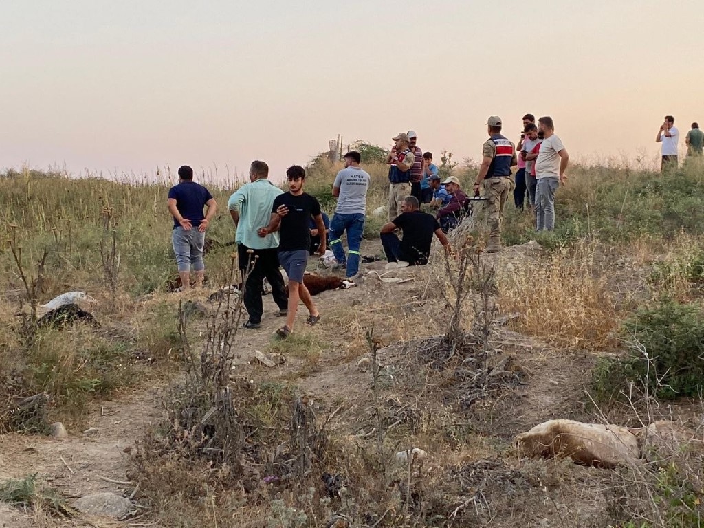 Deni̇zi̇l Haber Cann