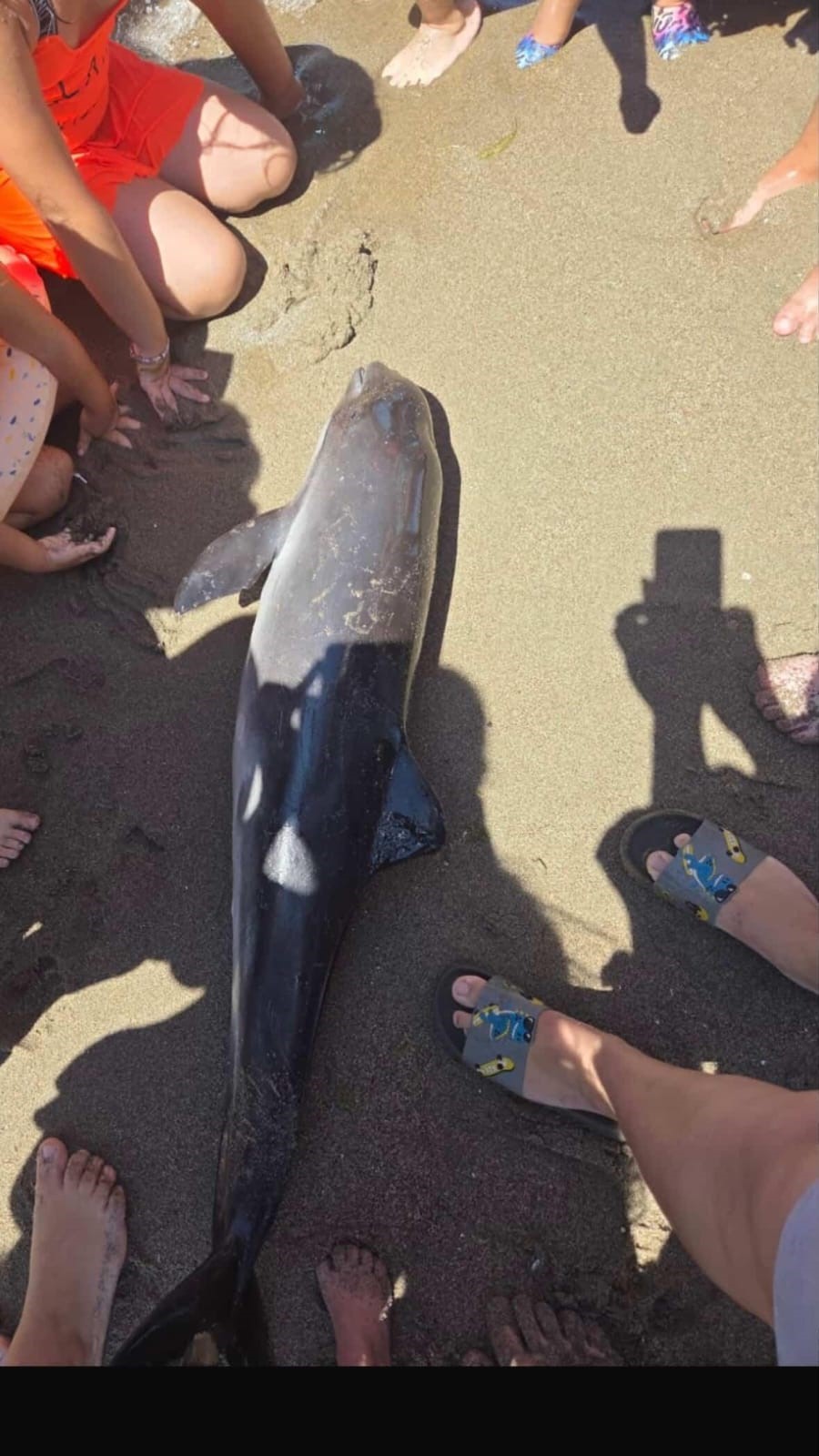 Denizli Ahber Yunus (2)