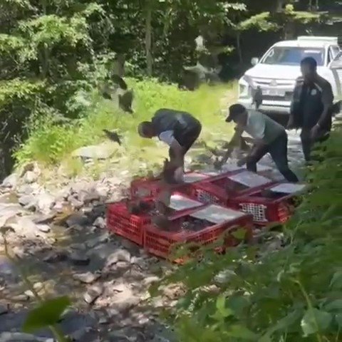 Denizli Habe Rkene Mücadele (2)