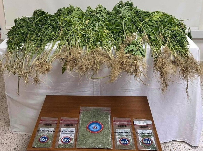 Denizli Habe Roperayon