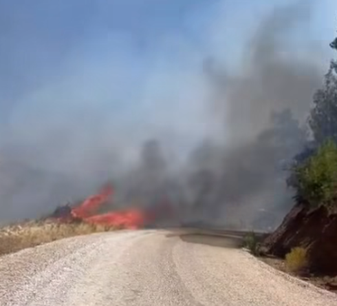 Denizli Haber Acıpayam Yangın-2