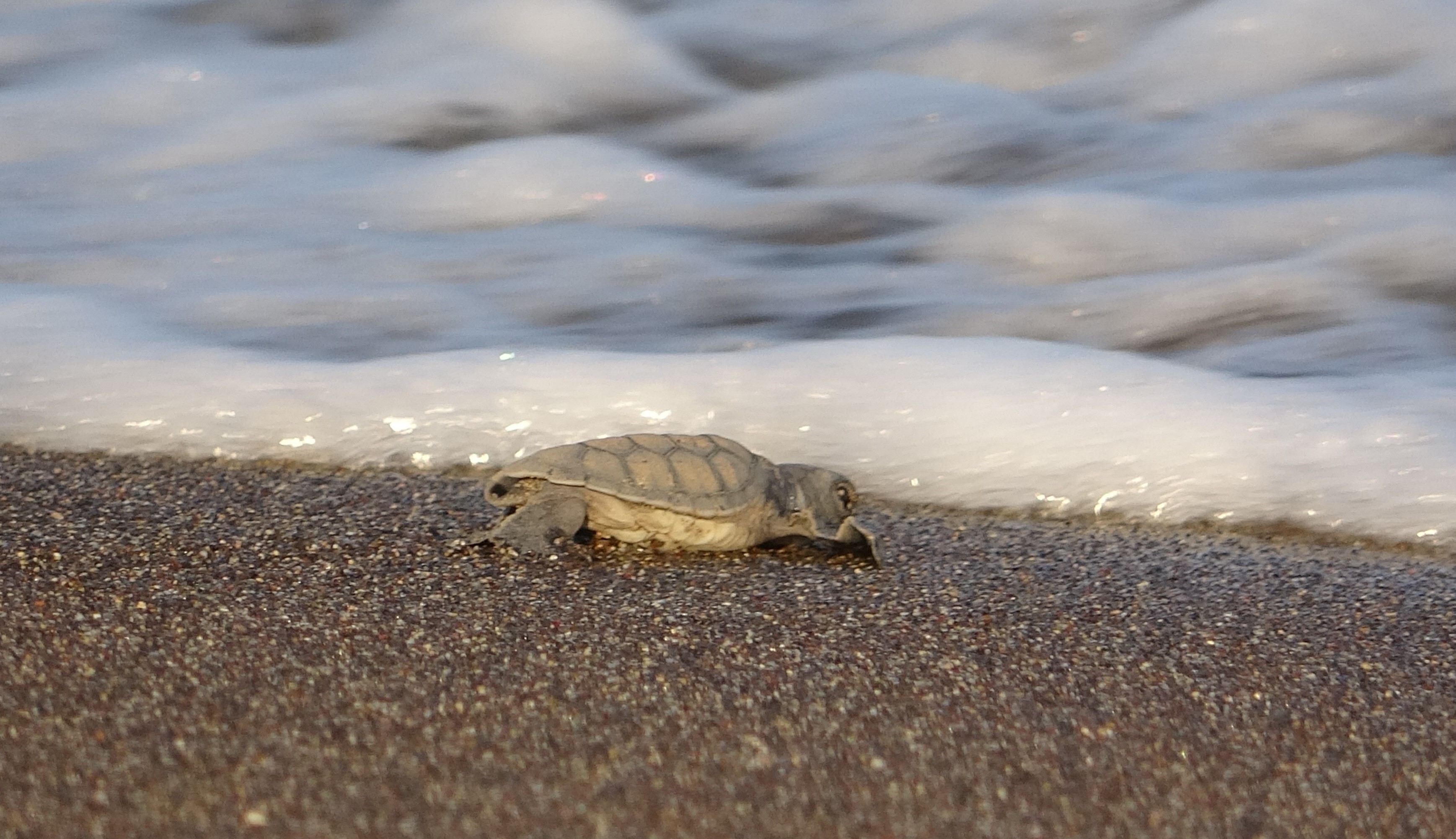 Denizli Haber Akdeniz (3)-1