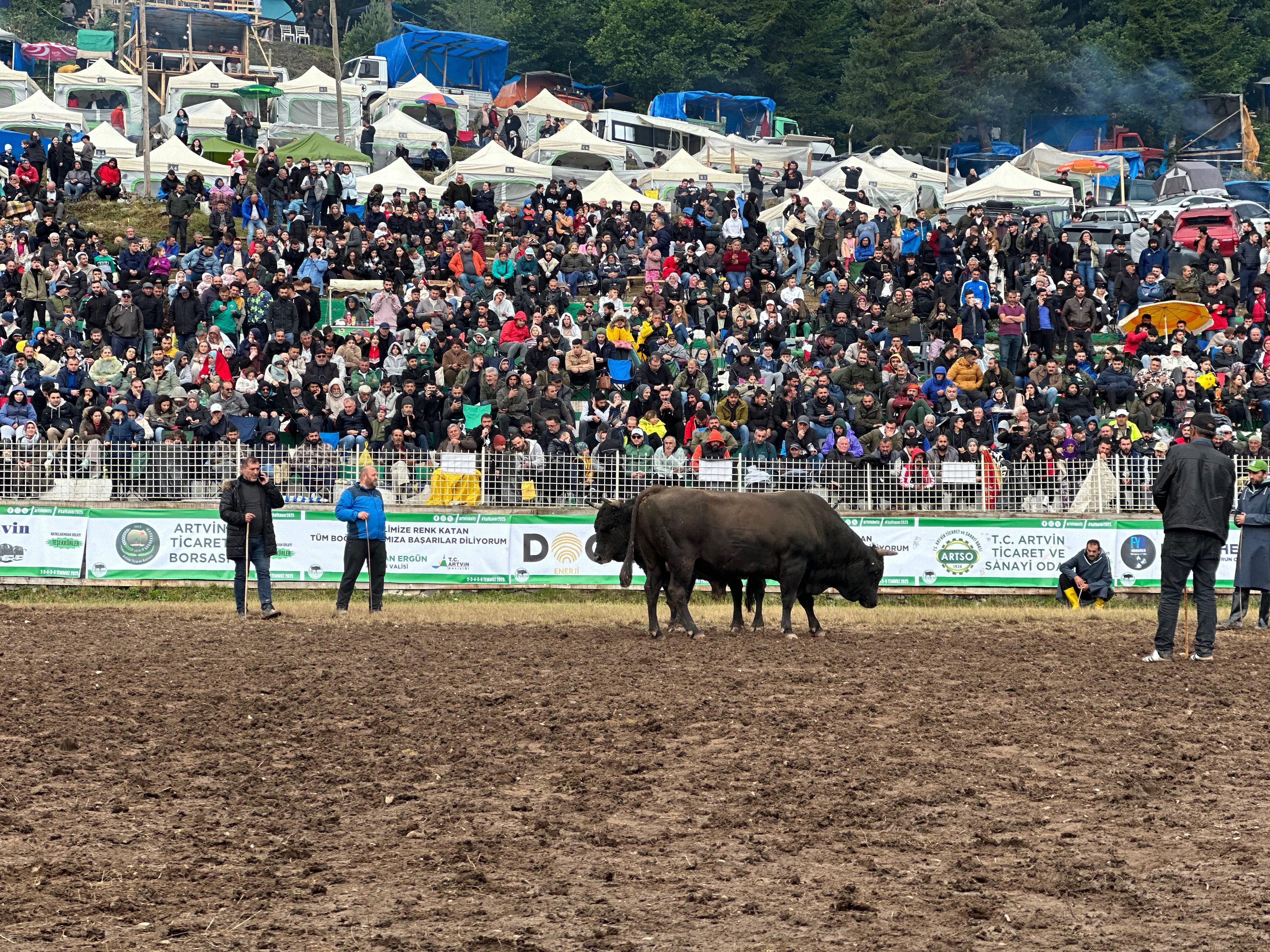 Denizli Haber Boğa (1)