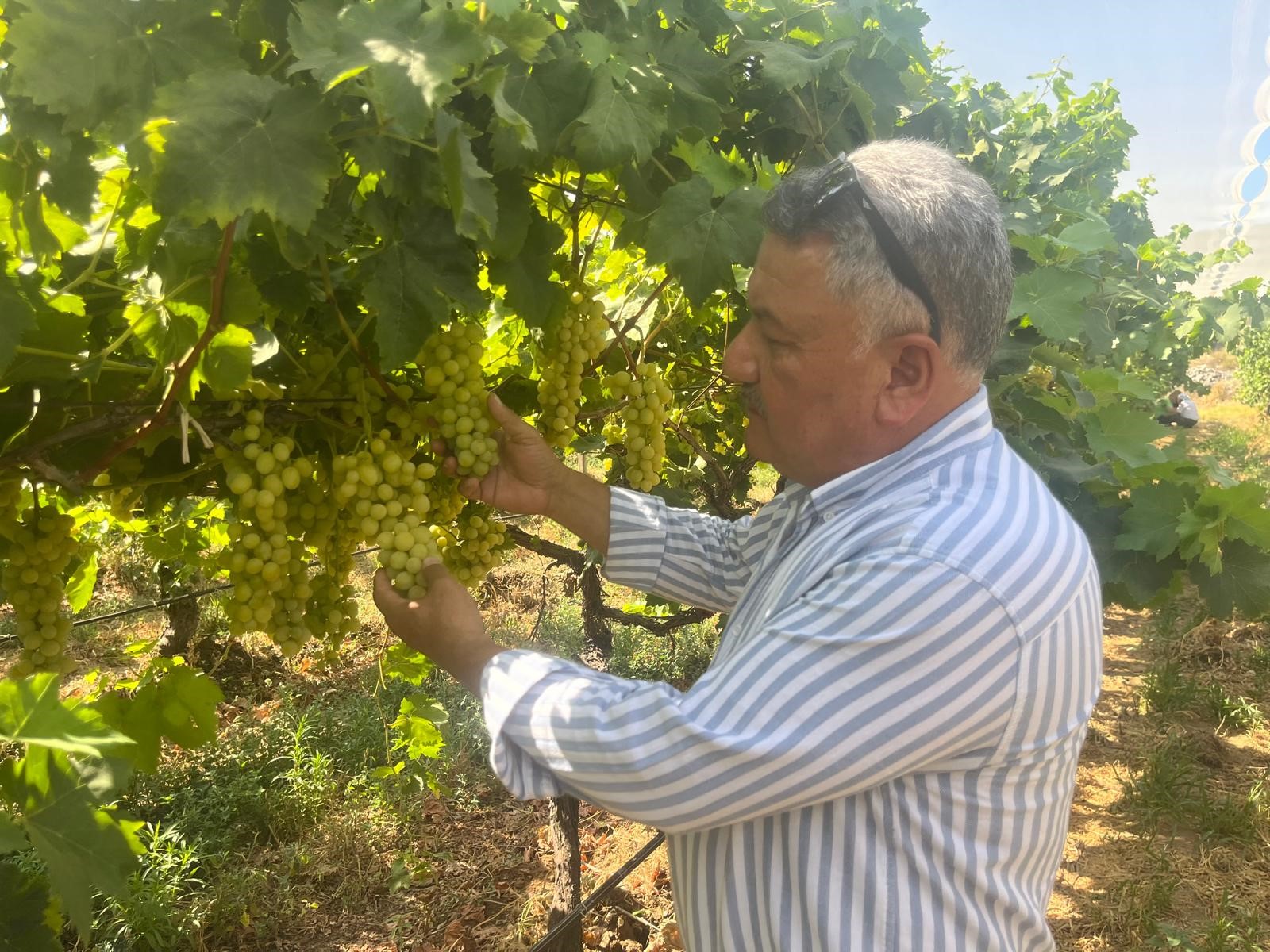 Denizli Haber Buldan5 (5)